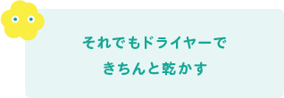 それでもドライヤーできちんと乾かす