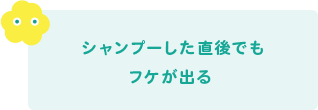 シャンプーした直後でもフケが出る 