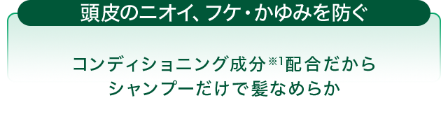 頭皮のニオイ、フケ・かゆみを防ぐ 頭皮のニオイが気になる方にコラージュフルフルプレミアムシャンプー コンディショニング成分※配合だからシャンプーだけで髪なめらか